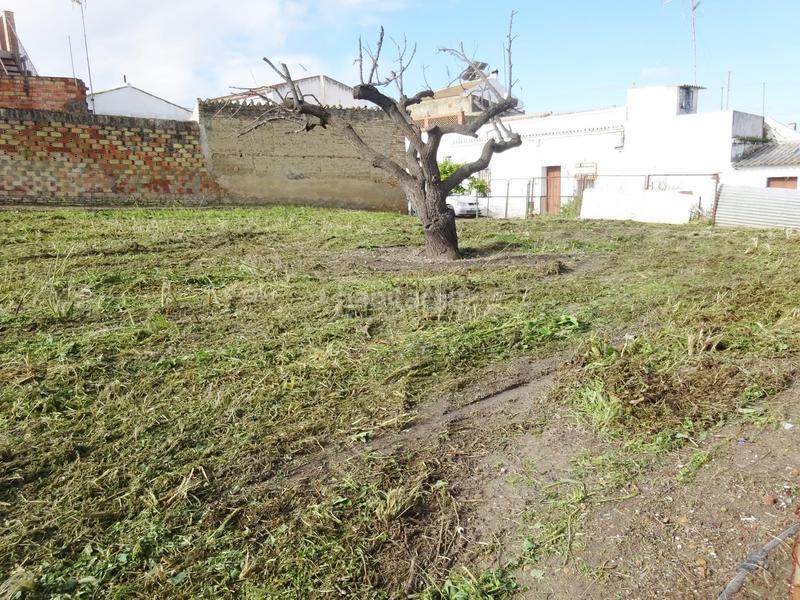 Foto 44c1a809-d4d5-4942-8ebd-b53402ee1ff3. Wohngrundstück in Huévar