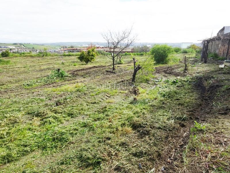 Foto 47b5fbf8-fb27-49da-8820-3c86d33dd9a5. Wohngrundstück in Huévar