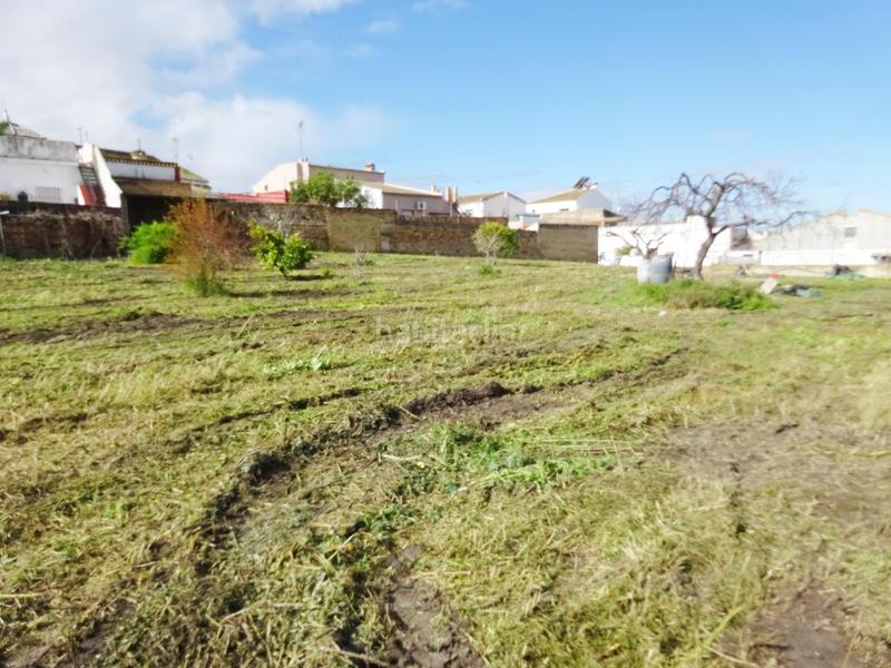 Foto 5fa2b0d6-ec4c-48a2-8645-a7e1a4ce15b5. Wohngrundstück in Huévar