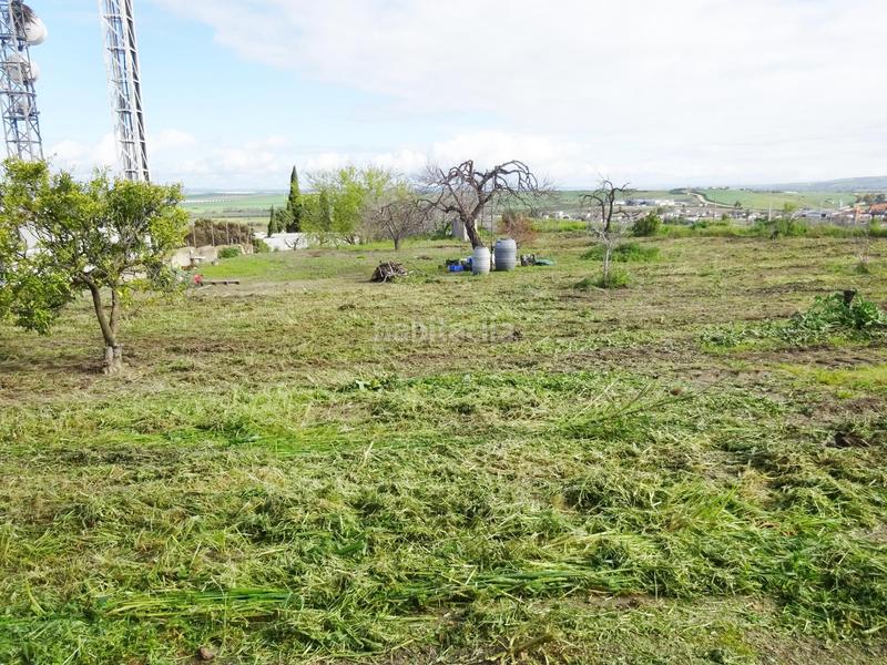 Foto 69df0490-fcdc-4359-8800-1a082b06ea13. Wohngrundstück in Huévar