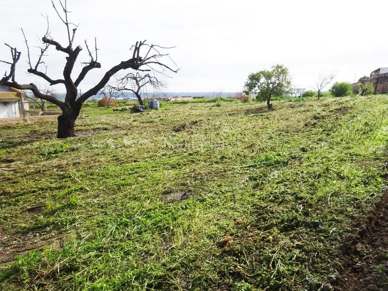 Foto 7227ad9f-e6c7-45db-941e-8d61f8d7e1c4. Wohngrundstück in Huévar