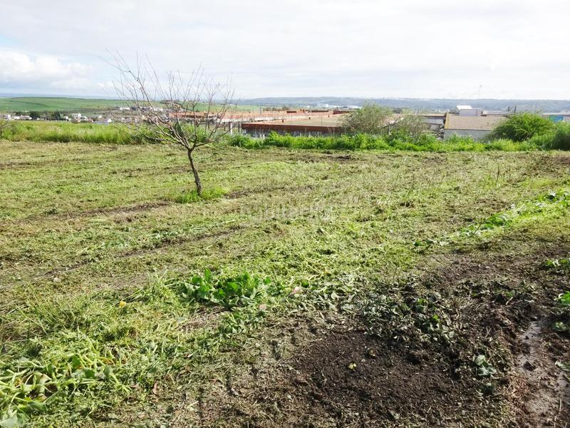 Foto 952caac5-da3b-469c-a6c9-2e5b78200c9f. Wohngrundstück in Huévar