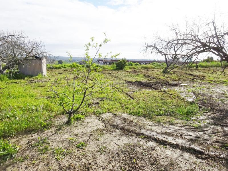 Foto 9cef0269-c859-43bf-bbaa-72b58f352f13. Wohngrundstück in Huévar