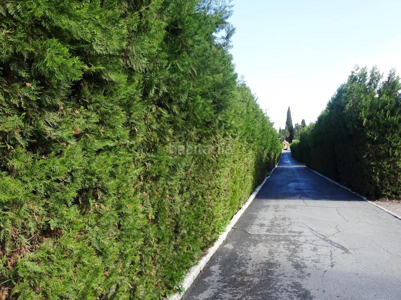 Foto adef6d39-0f30-4c01-9238-9c94702d58ac. Wohngrundstück in Huévar