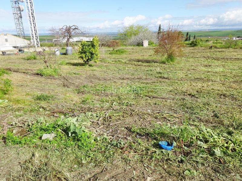 Foto cd539383-9ad9-4b2e-9e61-1a5f4f09cda0. Wohngrundstück in Huévar