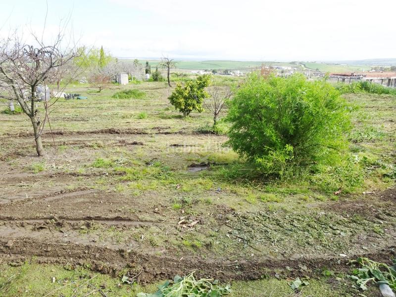 Foto dd3b9b69-cc34-4a07-ad6b-bdc39a641c22. Wohngrundstück in Huévar