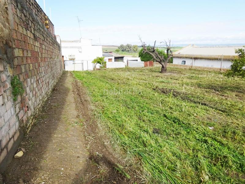 Foto f88393f1-7ba8-45f8-9c08-ea925a305efe. Wohngrundstück in Huévar