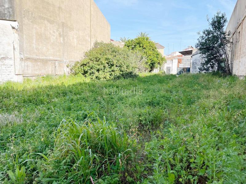 Foto fccd7db5-66ff-4be0-8ea7-3d6b11dbd31d. Terreny residencial a Palma del Condado (La)