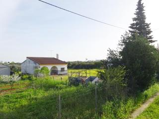 Xalet  Polígono 23 parcela 192. Casa, nave y parcela de 2.716 m2 a pocos metros de la carretera