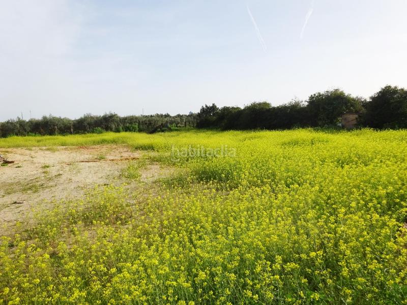 Foto 57dd7439-e3f7-416f-a81d-435535012ddd. Chalet mit heizung in Sanlúcar la Mayor