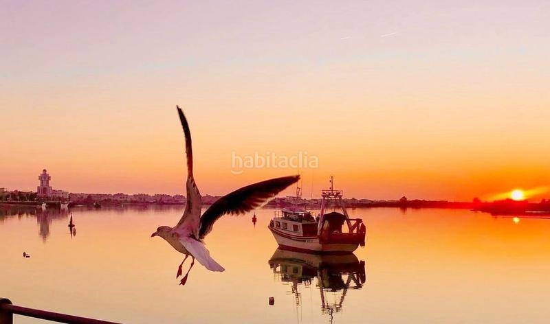 Foto a44d6013-5f08-44fc-a790-90228bea6348. Pis a Isla Cristina