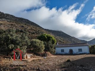 Masía en Bobadilla - Bobadilla Estación - La Joya. Preciosa finca a los pies de la sierra del torcal con mas de 10