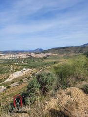 Terreny residencial a Centro. Magnifica parcela en la zona de campo de golf de 1248,03 m2.fant