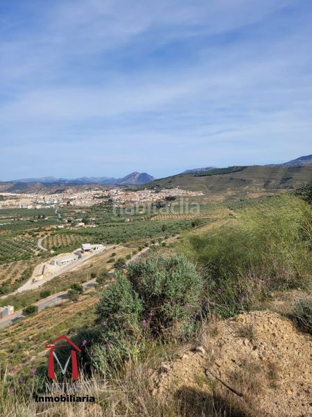 Foto 29480479-00f0-4f67-a2c5-fc3250f9ef64. Terreny residencial a Centro Antequera