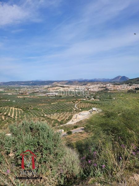 Foto c09ed38a-c0dd-4081-84c3-625e28a16940. Terreny residencial a Centro Antequera