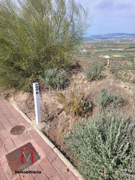 Foto fb779bd6-1823-48e8-b5bd-aeff0a90e52f. Terreny residencial a Centro Antequera