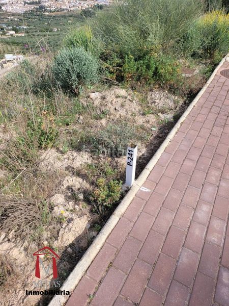 Foto feacff4b-f852-4a3e-8922-d6d38a5035a7. Terreny residencial a Centro Antequera