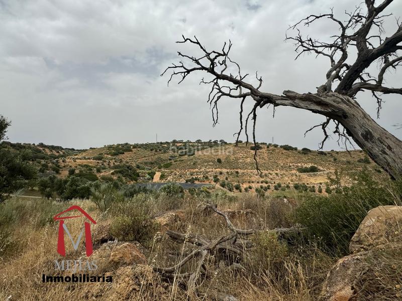 Foto aafc0bdf-c591-4c91-8641-31aab7aec5e3. Terrain résidentiel dans Bobadilla - Bobadilla Estación - La Joya Antequera