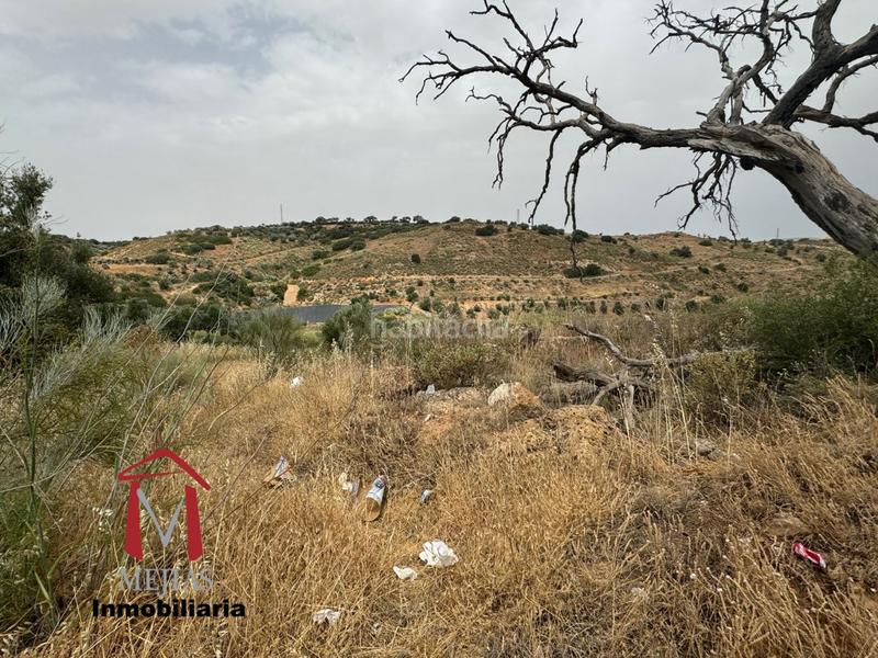 Foto c2a2e453-6dfd-497a-948a-56303d8f1f7e. Terrain résidentiel dans Bobadilla - Bobadilla Estación - La Joya Antequera