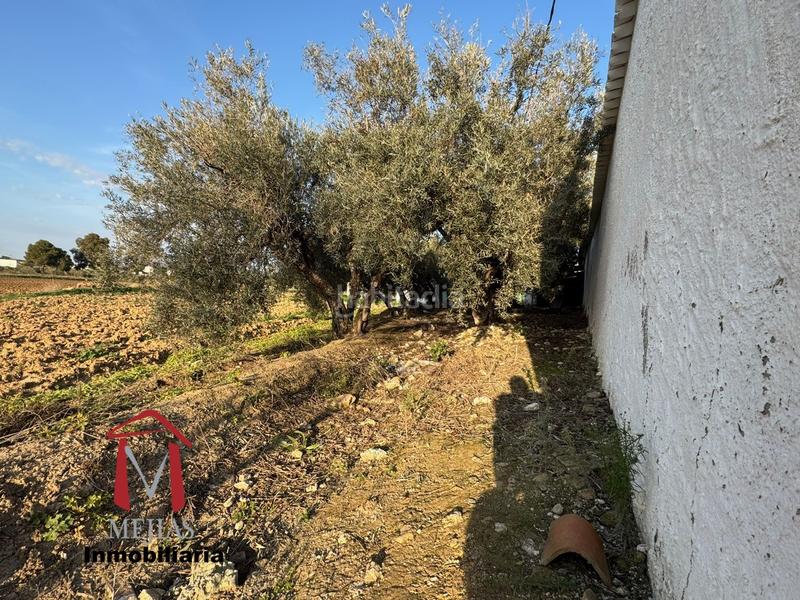 Foto d20ce42e-d5b1-40fc-b452-5c05f54685dd. Masia amb calefacció aparcament piscina a Bobadilla - Bobadilla Estación - La Joya Antequera