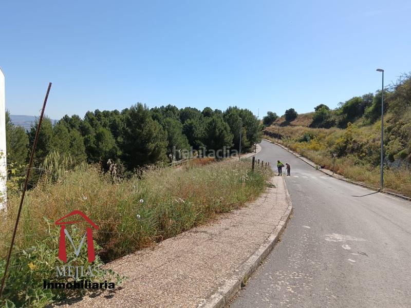 Foto b3e286f6-7fe7-4f8e-a497-5b12f6fe4ce2. Residential plot in Fuentemora Antequera