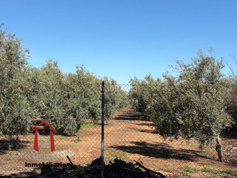 Foto c8d01d3a-2124-403a-9b46-97a8cc45044f. Masia a Zona de la Vega Antequera
