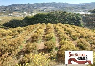 Propriété à Norte - Barrio del Pilar - El Reñidero. Finca en velezmálaga