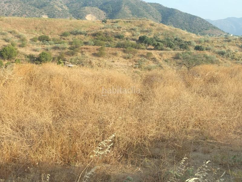 Foto 1e2ac499-3ca0-4780-8f76-bac6f15f29fe. Finca rústica a Cártama