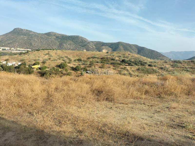 Foto 58071477-2740-4657-b04c-c55e8145d91f. Finca rústica a Cártama