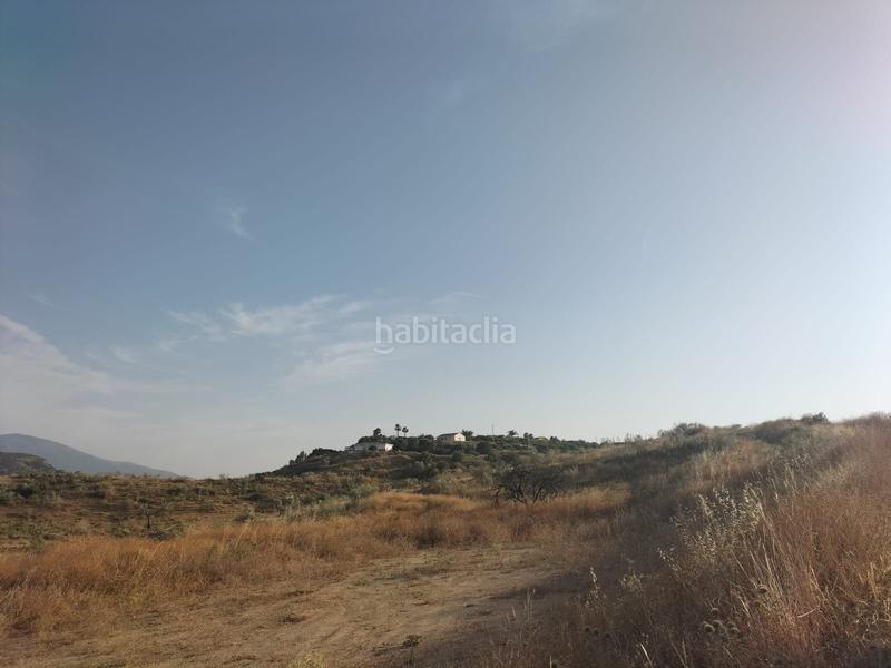 Foto 93ddaa9f-f122-4f3e-8a56-2fadae207f01. Finca rústica a Cártama