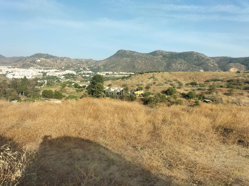 Foto d1db7e67-255b-430e-93dd-1e6525a17ce2. Finca rústica a Cártama