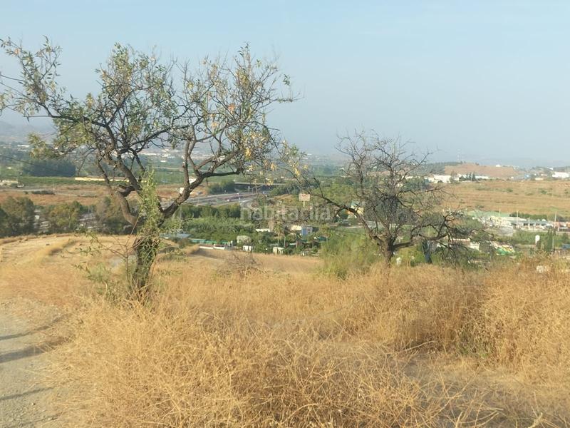 Foto ed417de7-ca1a-4fb7-ac3f-58b5ceaac1e0. Finca rústica a Cártama