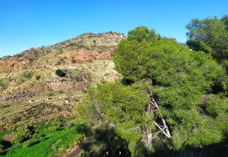 Propriété à Alegría de la Huerta- Jardín de Málaga. Finca rústica en venta en málaga  11.562 m
