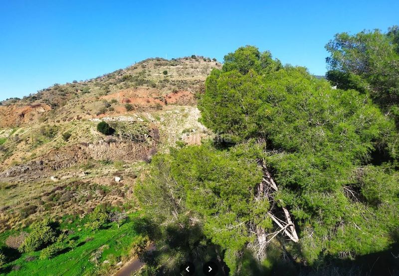 Foto 49d22dcf-3914-4699-a13d-96861e1f4652. Finca rústica a alegría de la huerta- jardín de Málaga Málaga