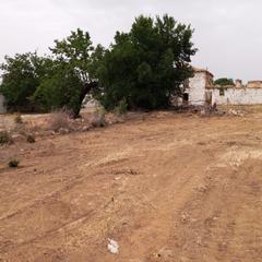 Xalet a Torreperogil
