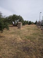 Finca rústica a Úbeda. Suelo de 3.000m2 vallado con luz con muchas posibilidades en la
