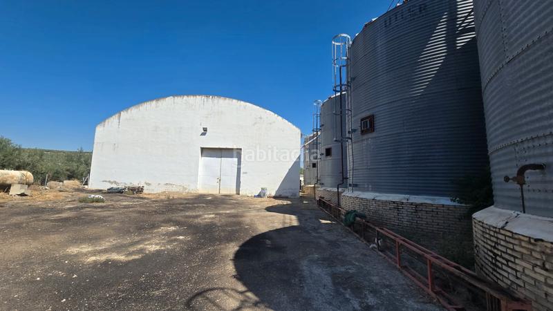 Foto 7cde4105-6f64-4adc-9879-3bff2aa55168. Fabrikhalle in Cazorla