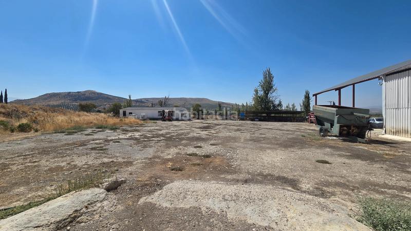 Foto 9fb9b563-942a-4493-838f-403ee7103b63. Fabrikhalle in Cazorla