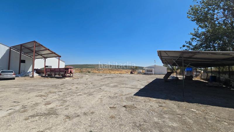 Foto d1455e0d-a75a-498a-81d7-47cf6e021ca2. Fabrikhalle in Cazorla