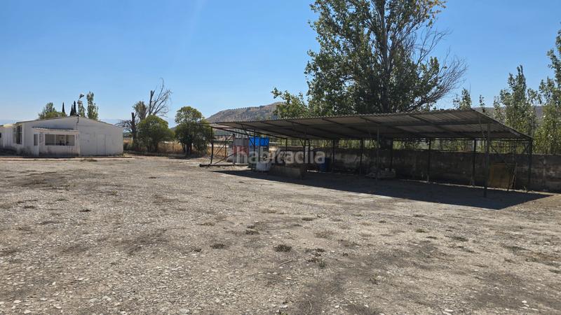 Foto e1b30fea-14b0-4c68-8b4a-970372a46588. Fabrikhalle in Cazorla