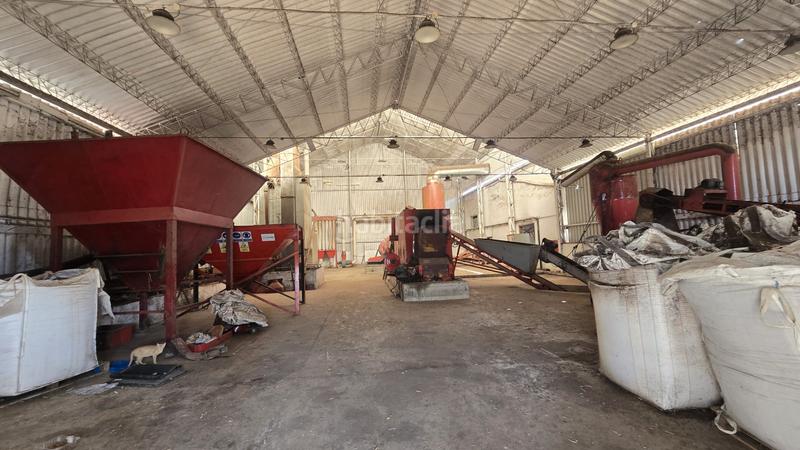 Foto fc5a19e6-f8c6-41ff-a70c-67973e77ea3d. Fabrikhalle in Cazorla