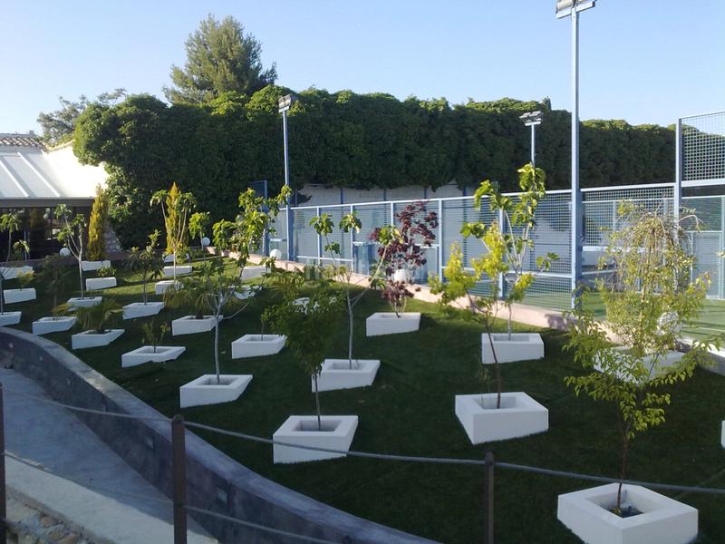 Foto 37ab944d-6d79-4ae2-b527-93a1ee2c15bf. Dúplex magnifica vivienda en un edificio del s.xvi en pleno casco histórico de ubeda ciudad patrimonio de la humanidad. en Úbeda