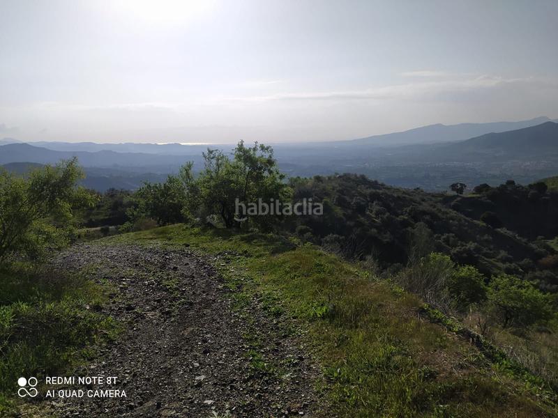 Foto f31fc84e-fe41-40c2-a46a-b0b9ef9e2adc. Fondo rustico in Cártama