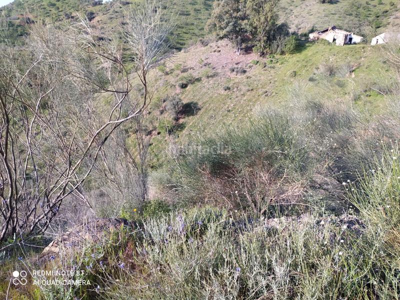 Foto 4903af6b-74d8-4879-acd7-4232917ea4fc. Fondo rustico in Cártama