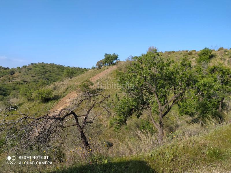 Foto 7b993c85-2715-407a-ad0c-fb2c85636cb1. Fondo rustico in Cártama