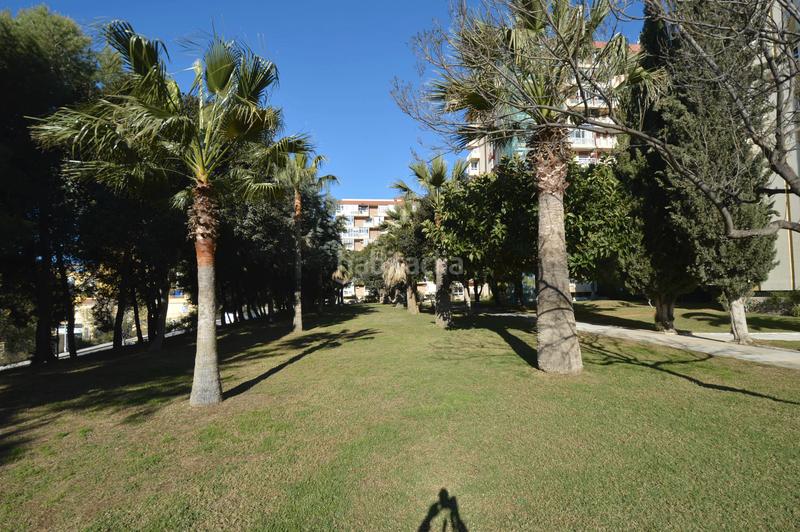 Foto 71b7ece5-d564-44bb-a4be-41c4518a0f6d. Studio avec piscine dans Parque de la Paloma Benalmádena