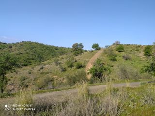 Rural plot in Nueva Aljaima - Las Tres Leguas - Los Mondeños