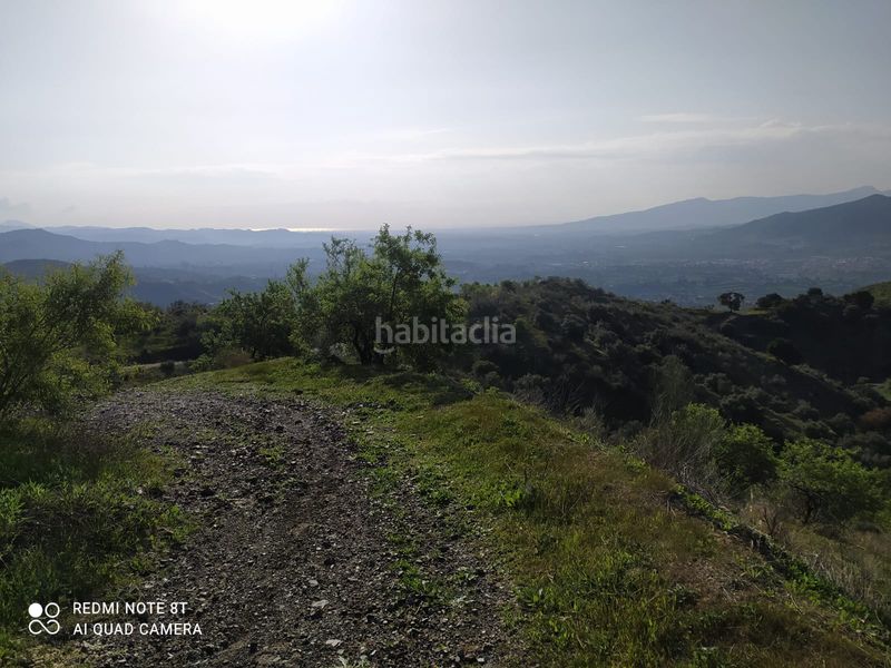 Foto 06a87a3c-17c4-44bc-bed0-ccd38d263385. Finca rústica a Nueva Aljaima - Las Tres Leguas - Los Mondeños Cártama