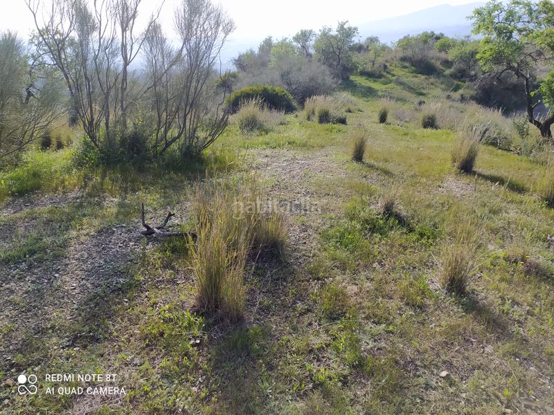 Foto 636bbc64-a0ce-4088-9f8d-8979e32ca94f. Finca rústica a Nueva Aljaima - Las Tres Leguas - Los Mondeños Cártama