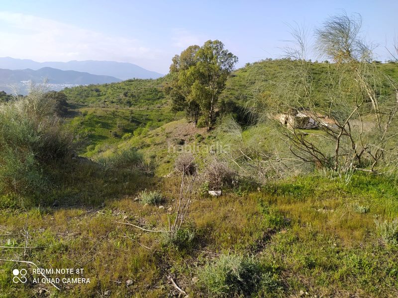 Foto 679a1094-e24d-47dd-b131-9cf4ea0e1e7b. Finca rústica a Nueva Aljaima - Las Tres Leguas - Los Mondeños Cártama